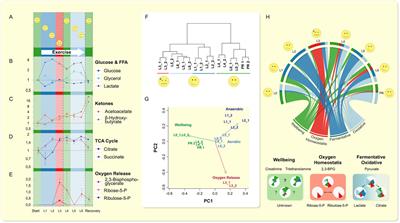 Exercise blood-drop metabolic profiling links metabolism with perceived exertion